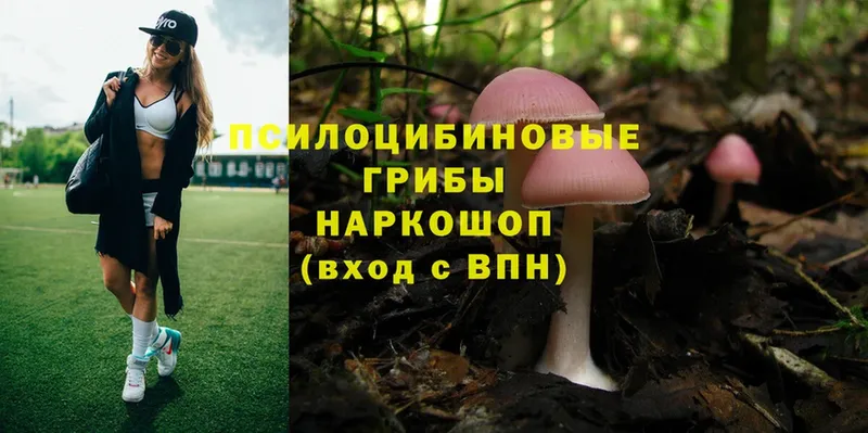 купить наркоту  Болхов  ссылка на мегу как войти  Псилоцибиновые грибы Cubensis 